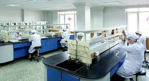 豪華賽皇宮，藥價為何高？——透視哈藥六廠事件中的網絡技術與輿論影響