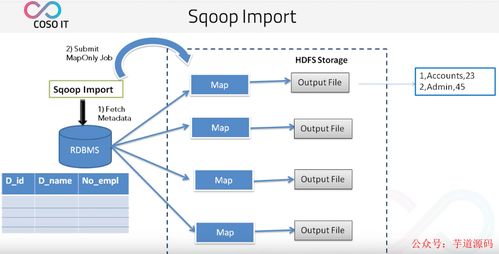 八款主流數據遷移工具技術選型解析，助力數據處理技術開發